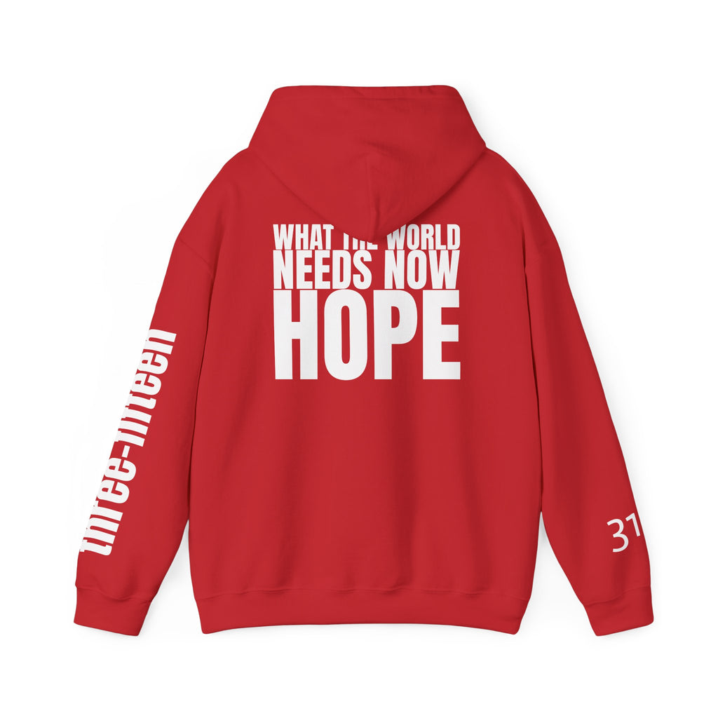 Multi Colors “What the World Needs Now - HOPE”" Inspirational Quote Hoodie - This Isn't The End Of My Story